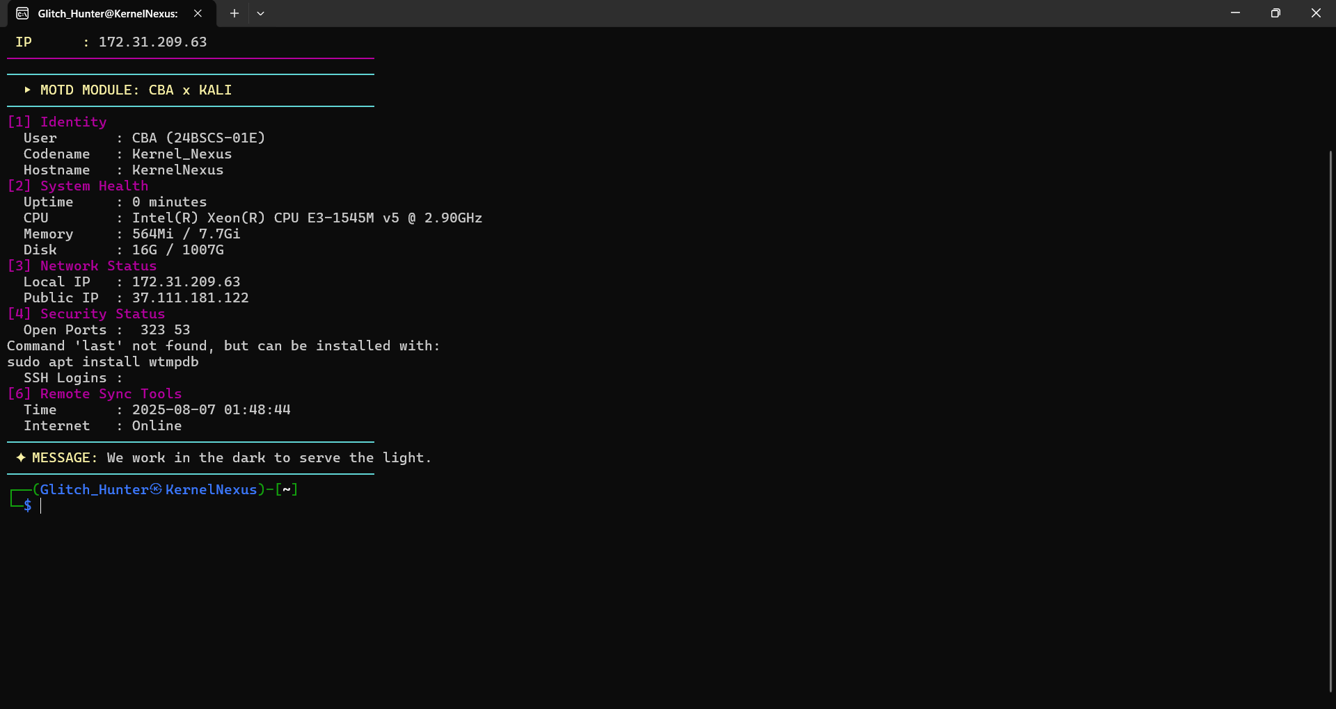 Kali WSL MOTD